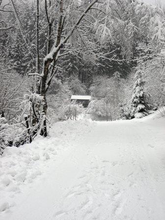 Luxe 4p. huis in Sauerland met sauna. Hond welkom! SNEEUW!, Vakantie, Vakantiehuizen | Duitsland, Landelijk, Sauerland, In bergen of heuvels