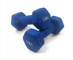 Dumbell combinatie set 10 kg totaal - met koffer, Ophalen of Verzenden, Nieuw