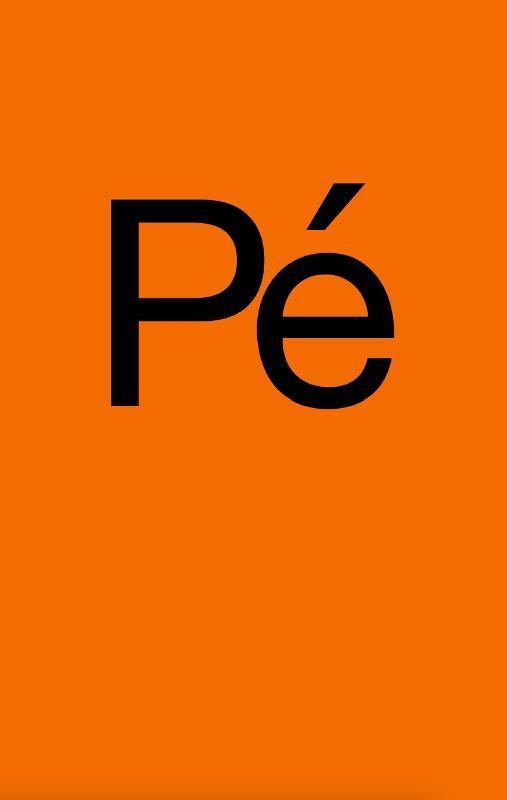 Pé 9789090383552 Astrid Brummer, Boeken, Hobby en Vrije tijd, Zo goed als nieuw, Verzenden