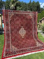 Top Indo Bidjar - Tapijt - 350 cm - 250 cm, Nieuw