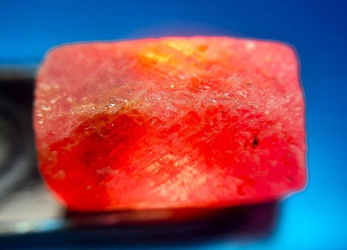 101,5 ct - Onbehandelde robijn - Ruw- 20.3 g, Verzamelen, Mineralen en Fossielen