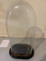 Globe - 1901-1920 - een glazen koepel, Antiek en Kunst