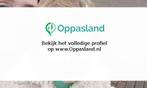 Jalien zoekt een oppas in Deventer voor 1 kind., Nieuw