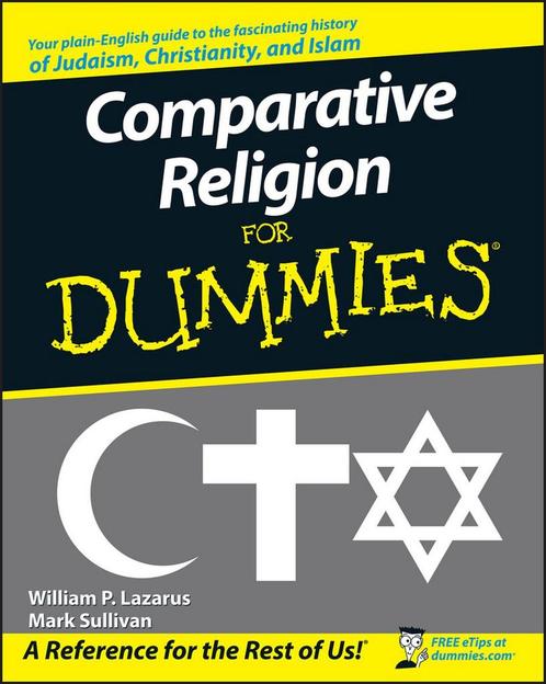 Comparative Religion For Dummies 9780470230657, Boeken, Overige Boeken, Gelezen, Verzenden