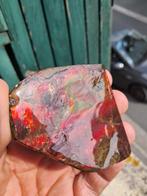 Ammoliet - Fossiel fragment - Placenticeras - 6.2 cm - 6 cm