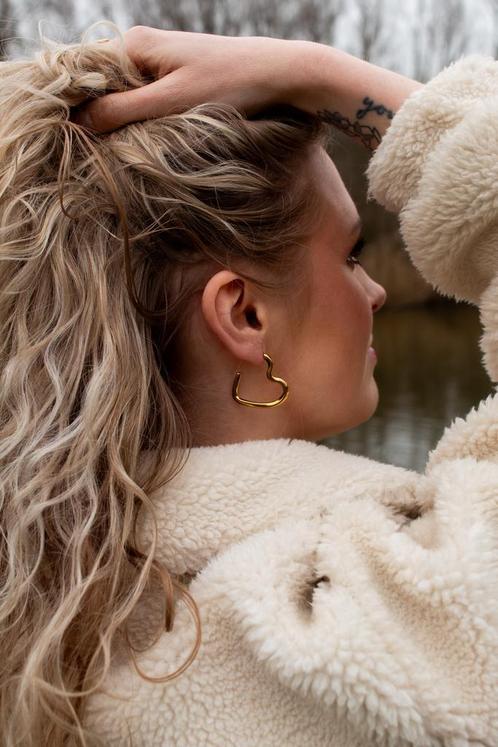 Betaalbare RVS Oorbellen Zilver en Goudkleurig!, Sieraden, Tassen en Uiterlijk, Oorbellen, Hangers, Goud, Nieuw, Overige materialen