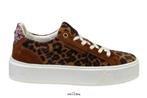 -35% Floris van Bommel  Floris van Bommel Damesschoenen snea, Kleding | Dames, Schoenen, Verzenden, Nieuw, Bruin