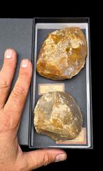 . Prehistorie Paleolithicum - 1 biface en 1 harde hamer uit