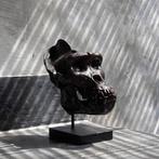 sculptuur, Western Gorilla Skull, cast in the finest