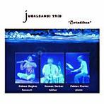 cd digi - Jugalbandi Trio - Brindiban, Verzenden, Zo goed als nieuw