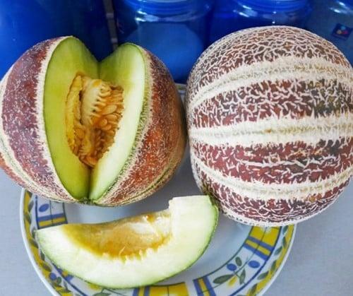 Kajari Suikermeloen Geurmeloen zaden, Hobby en Vrije tijd, Knutselen, Nieuw, Ophalen of Verzenden