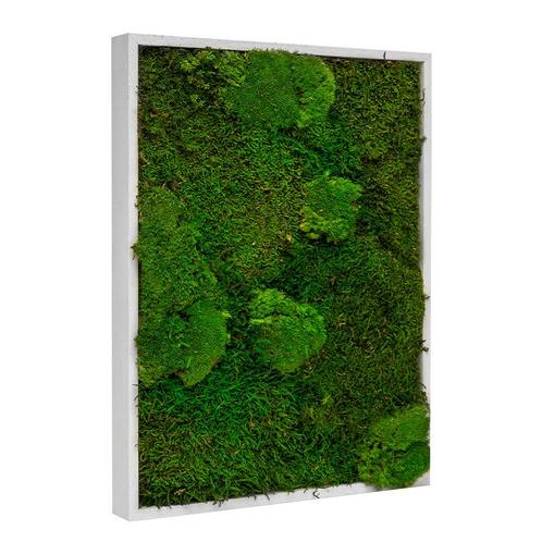 Mosschilderij Lappenmos-Bolmos 30x40 cm Gebroken Wit - Boras, Huis en Inrichting, Woonaccessoires | Lijsten