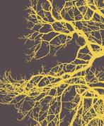 Bosk 9789464710731 Bruno Doedens, Verzenden, Gelezen, Bruno Doedens