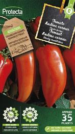 Protecta Groente zaden: Tomaat Andine cornue, Tuin en Terras, Ophalen of Verzenden