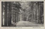 DIEREN-DE STEEG-ELLECOM - Middeachterallee, Verzamelen, Verzenden, Gelopen