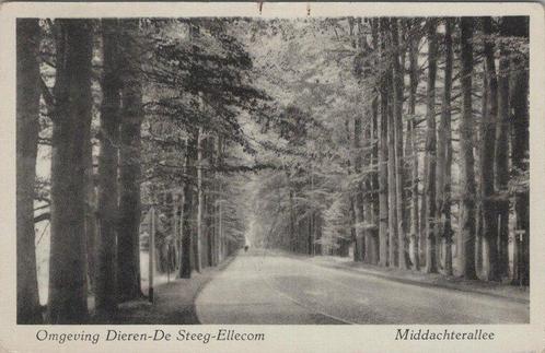 DIEREN-DE STEEG-ELLECOM - Middeachterallee, Verzamelen, Ansichtkaarten | Nederland, Verzenden