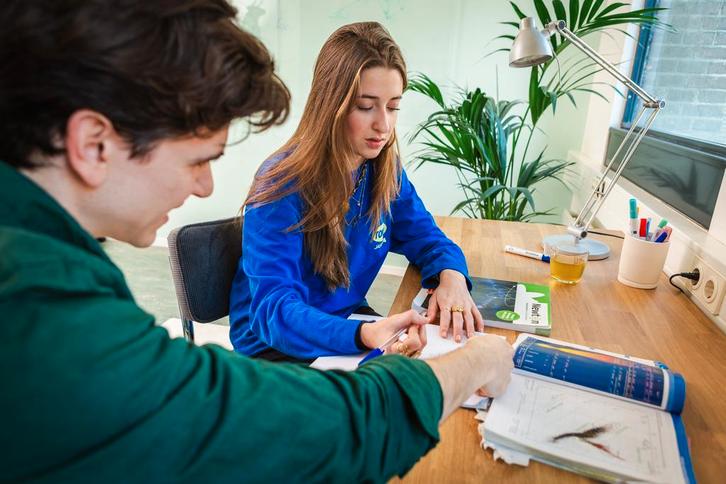 10+ jaar ervaring in Wiskunde - Natuurkunde - Scheikunde, Diensten en Vakmensen, Bijles, Privé-les en Taalles, Bijles, Examen- of Scriptiebegeleiding