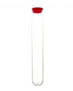 Plastic Buisje met dop 10 ml  Rood     100 stuks, Ophalen of Verzenden, Nieuw