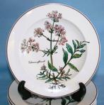 Villeroy & Boch - Set soepkommen (6) - Botanica - Vitro