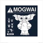 Kunstdruk Gremlins Mogwai Rules 40x40cm, Verzenden, Nieuw