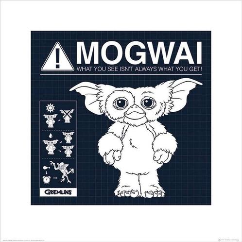 Kunstdruk Gremlins Mogwai Rules 40x40cm, Huis en Inrichting, Woonaccessoires | Schilderijen, Tekeningen en Foto's, Nieuw, Verzenden