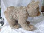 Steiff - Teddybeer - 1950-1960 - Duitsland, Antiek en Kunst