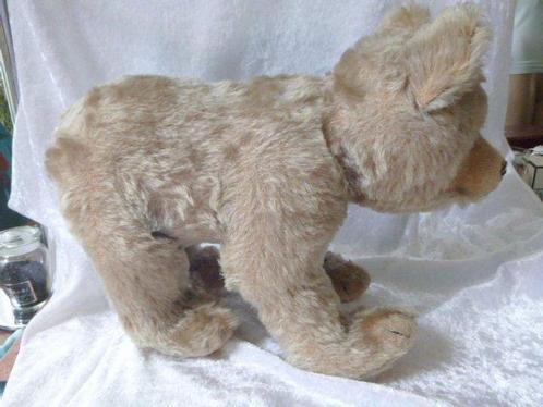 Steiff - Teddybeer - 1950-1960 - Duitsland, Antiek en Kunst, Antiek | Speelgoed