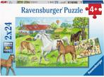 Op de Manege Puzzel (2x24 stukjes) | Ravensburger - Puzzels, Kinderen en Baby's, Speelgoed | Kinderpuzzels, Nieuw, Verzenden