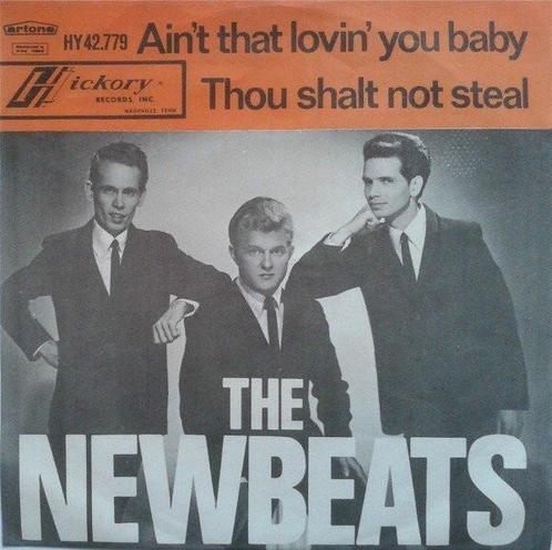 The Newbeats - Aint That Lovin You, Baby, Cd's en Dvd's, Vinyl | Rock, Gebruikt, Ophalen of Verzenden
