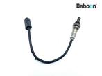 Lambda Sonde Ducati Monster 797 2017-2019 (M797), Verzenden, Gebruikt