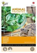 Animal favorites spinazie nores - schildpadden tuinzaden - T, Verzenden