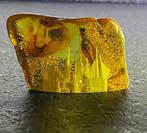 Natuurlijk volledige steen Baltisch amber met handgesneden, Verzamelen, Mineralen en Fossielen