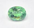 1 pcs Groen Paraiba toermalijn - 2.68 ct - nternational, Nieuw