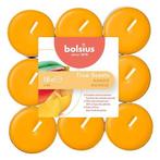 Geurtheelichten | Bolsius | Mango | 18 stuks, Verzenden, Nieuw