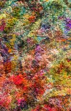 Viet Ha Tran - Wall of Nature XXVIII