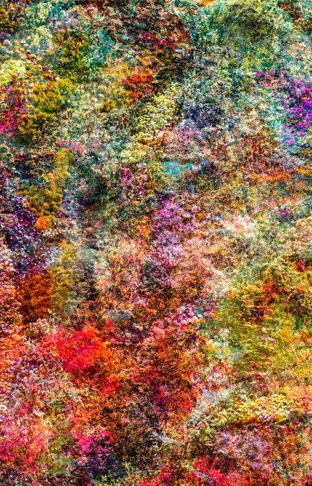 Viet Ha Tran - Wall of Nature XXVIII, Antiek en Kunst, Kunst | Designobjecten