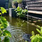 Solar fontein Jet - Fontein op zonne energie, Tuin en Terras, Buitenverlichting, Nieuw, Minder dan 50 watt, Zonne-energie, Overige typen