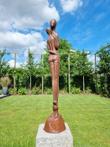 Beeld - IJzer (gegoten/gesmeed)