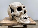 Skull - Figuur - Gietijzer