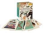 9781783706259 Animalium - set van 50 wenskaarten - Dieren..., Verzenden, Nieuw, Kathy Willis
