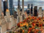 Fabian Kimmel - Central Park Autumn I, New York