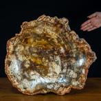Natuurlijke buitengewone kwarts handgepolijste kom van, Verzamelen, Mineralen en Fossielen