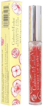 CRABTREE & EVELYN SHIMMER LIPGLOSS PINK RASPBERRY KOKER 3,.., Verzenden, Nieuw