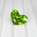 1 pcs Groen Toermalijn - 6.18 ct - nternational Colored, Sieraden, Tassen en Uiterlijk, Edelstenen, Nieuw