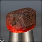 Natuurlijk robijnrood kristal, onbehandeld, Birma 95,65 ct-, Verzamelen, Mineralen en Fossielen