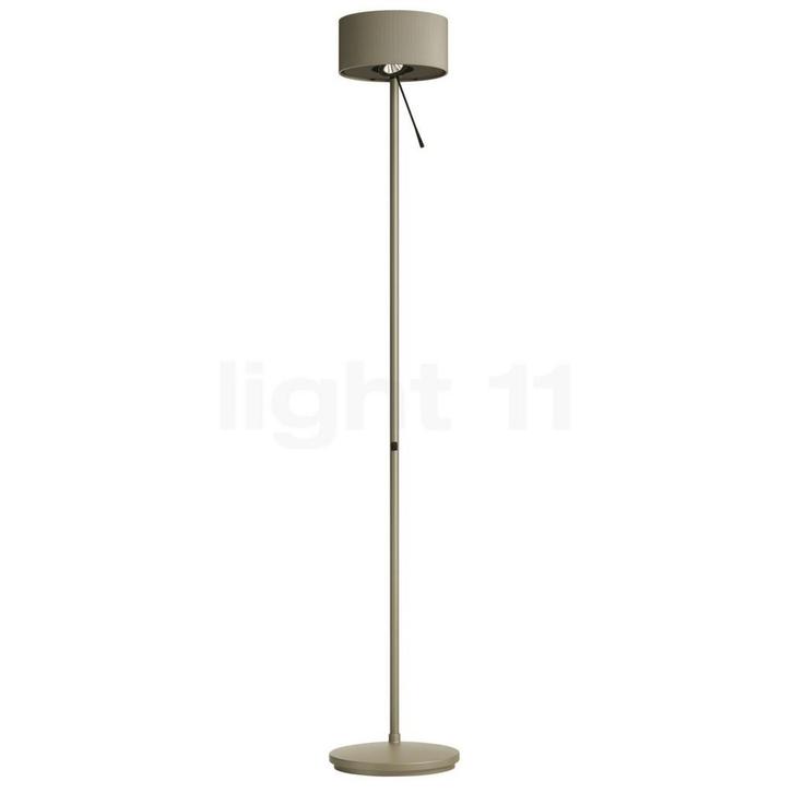 Belux Diogenes Vloerlamp LED, goud (Staande lampen), Huis en Inrichting, Lampen | Vloerlampen, Nieuw, Verzenden