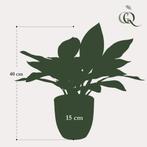 Kunstplant - Croton Codiaeum - Wonderstruik - 38 cm, Verzenden, Nieuw