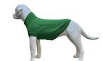 Hondentrui  Groen Voor grote honden (Truien, Hondenkleding), Dieren en Toebehoren, Hondenkleding, Ophalen of Verzenden, Nieuw