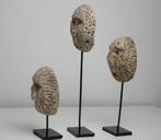 Maskers van fossiel koraal - Atoni - Indonesië (Zonder