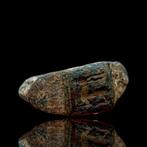 Oud-Romeins met gazellen intaglio. Brons Ring (Zonder